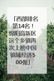 西部排名第14名！绵阳高新区这个乡镇再次上榜中国镇域经济500强