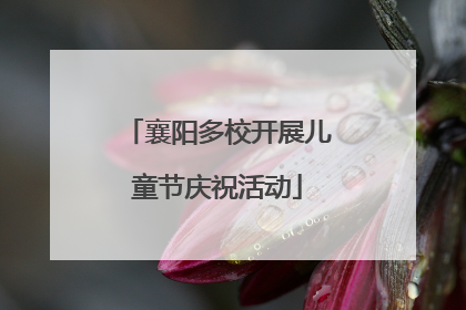 襄阳多校开展儿童节庆祝活动