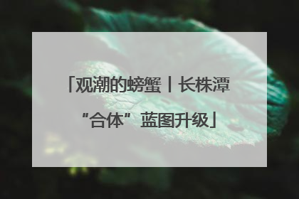 观潮的螃蟹丨长株潭“合体”蓝图升级