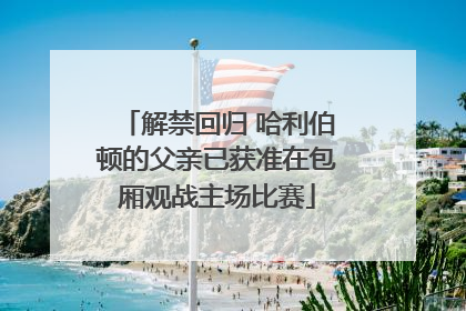 解禁回归 哈利伯顿的父亲已获准在包厢观战主场比赛