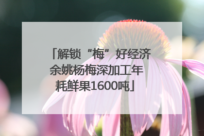 解锁“梅”好经济 余姚杨梅深加工年耗鲜果1600吨