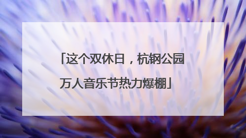 这个双休日，杭钢公园万人音乐节热力爆棚