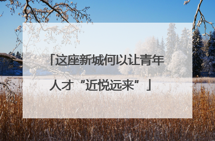 这座新城何以让青年人才“近悦远来”