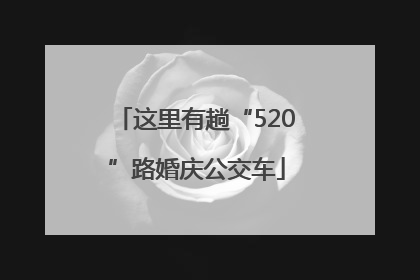 这里有趟“520”路婚庆公交车