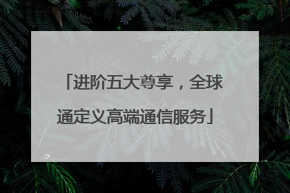 进阶五大尊享，全球通定义高端通信服务