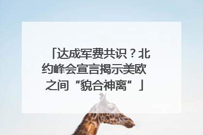 达成军费共识？北约峰会宣言揭示美欧之间“貌合神离”