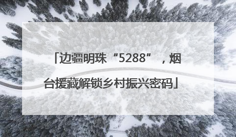边疆明珠“5288”，烟台援藏解锁乡村振兴密码