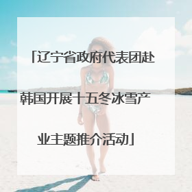 辽宁省政府代表团赴韩国开展十五冬冰雪产业主题推介活动