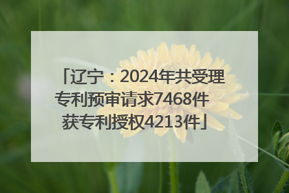 辽宁：2024年共受理专利预审请求7468件 获专利授权4213件