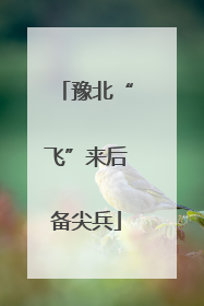 豫北“飞”来后备尖兵