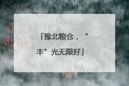 豫北粮仓，“丰”光无限好