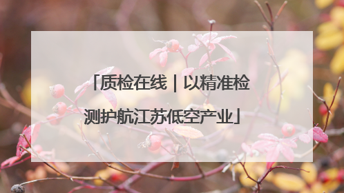 质检在线｜以精准检测护航江苏低空产业