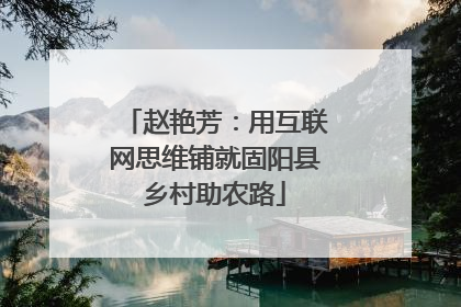 赵艳芳：用互联网思维铺就固阳县乡村助农路