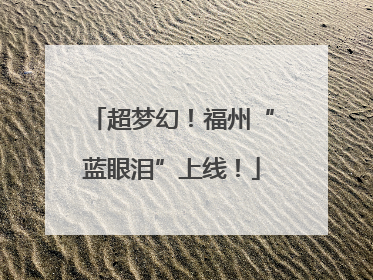 超梦幻！福州“蓝眼泪”上线！