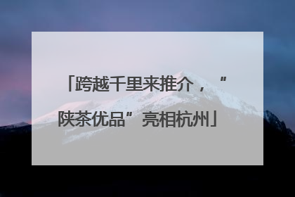 跨越千里来推介，“陕茶优品”亮相杭州