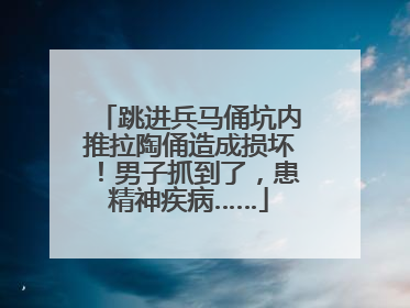 跳进兵马俑坑内推拉陶俑造成损坏！男子抓到了，患精神疾病……