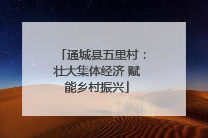 通城县五里村：壮大集体经济 赋能乡村振兴