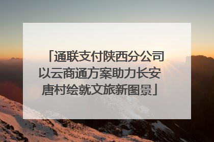 通联支付陕西分公司以云商通方案助力长安唐村绘就文旅新图景