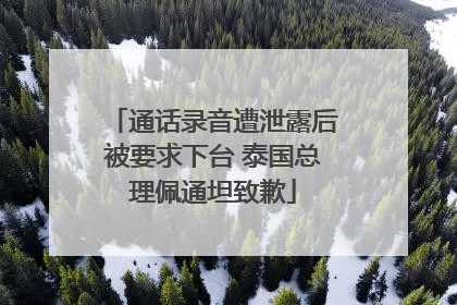 通话录音遭泄露后被要求下台 泰国总理佩通坦致歉