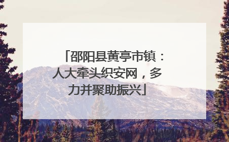 邵阳县黄亭市镇：人大牵头织安网，多力并聚助振兴