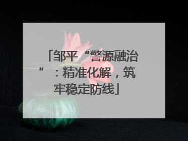 邹平“警源融治”：精准化解，筑牢稳定防线