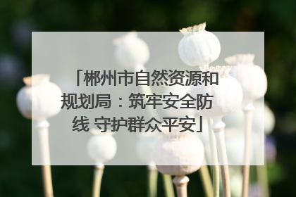 郴州市自然资源和规划局：筑牢安全防线 守护群众平安
