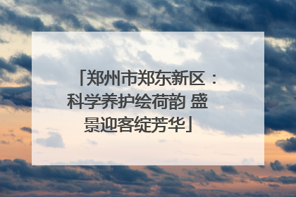 郑州市郑东新区：科学养护绘荷韵 盛景迎客绽芳华