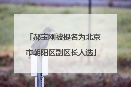 郝宝刚被提名为北京市朝阳区副区长人选