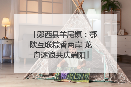 郧西县羊尾镇：鄂陕互联粽香两岸 龙舟逐浪共庆端阳