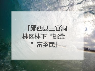 郧西县三官洞林区林下“掘金”富乡民
