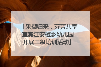 采撷归来，芬芳共享 宜宾江安橙乡幼儿园开展二级培训活动