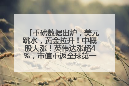 重磅数据出炉，美元跳水，黄金拉升！中概股大涨！英伟达涨超4%，市值重返全球第一！黄仁勋计划出售至多600万股股票