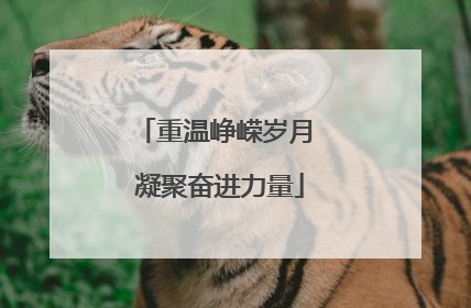重温峥嵘岁月 凝聚奋进力量