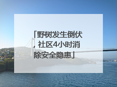 野树发生倒伏，社区4小时消除安全隐患