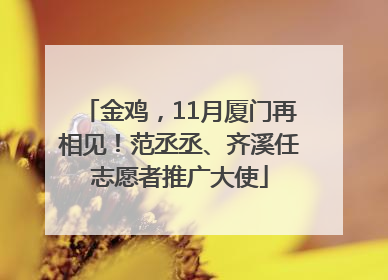 金鸡，11月厦门再相见！范丞丞、齐溪任志愿者推广大使