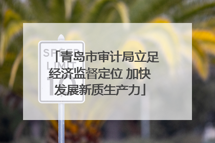 青岛市审计局立足经济监督定位 加快发展新质生产力