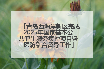 青岛西海岸新区完成2025年国家基本公共卫生服务疾控项目暨医防融合督导工作