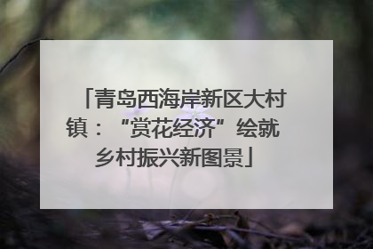 青岛西海岸新区大村镇：“赏花经济”绘就乡村振兴新图景