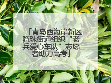 青岛西海岸新区隐珠街道组织“老兵爱心车队”志愿者助力高考