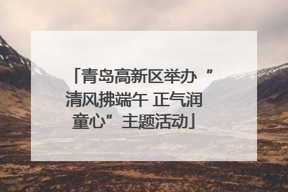 青岛高新区举办“清风拂端午 正气润童心”主题活动