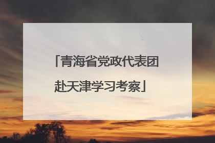 青海省党政代表团赴天津学习考察