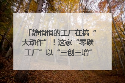 静悄悄的工厂在搞“大动作”！这家“零碳工厂”以“三创三增”探索共富新路径｜网络名人四川行
