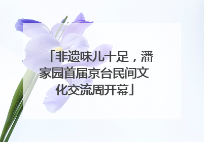 非遗味儿十足，潘家园首届京台民间文化交流周开幕
