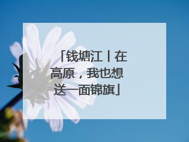 钱塘江丨在高原，我也想送一面锦旗