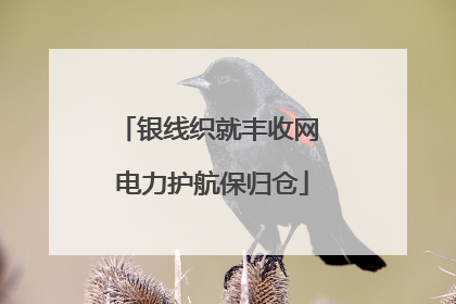 银线织就丰收网 电力护航保归仓