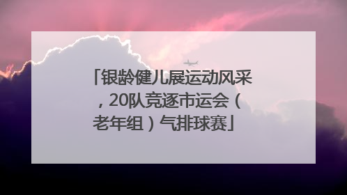 银龄健儿展运动风采，20队竞逐市运会（老年组）气排球赛