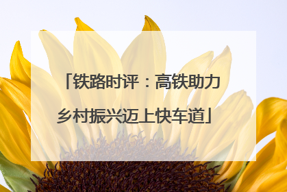 铁路时评：高铁助力乡村振兴迈上快车道