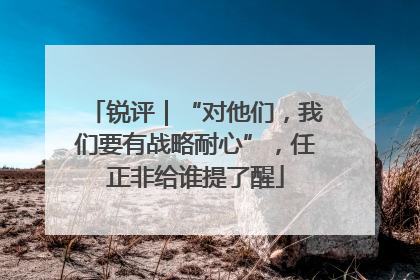 锐评｜“对他们，我们要有战略耐心”，任正非给谁提了醒