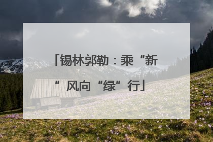 锡林郭勒：乘“新”风向“绿”行
