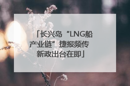 长兴岛“LNG船产业链”捷报频传 新政出台在即